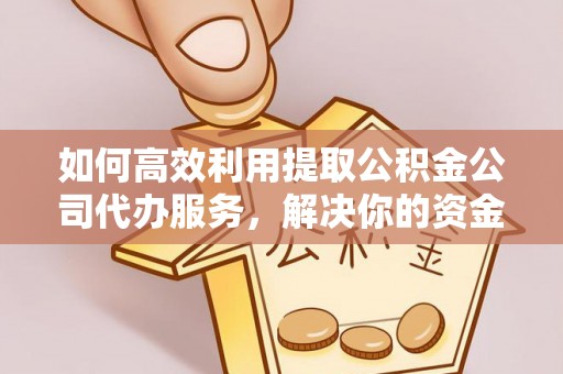 青岛如何高效利用提取公积金公司代办服务，解决你的资金难题